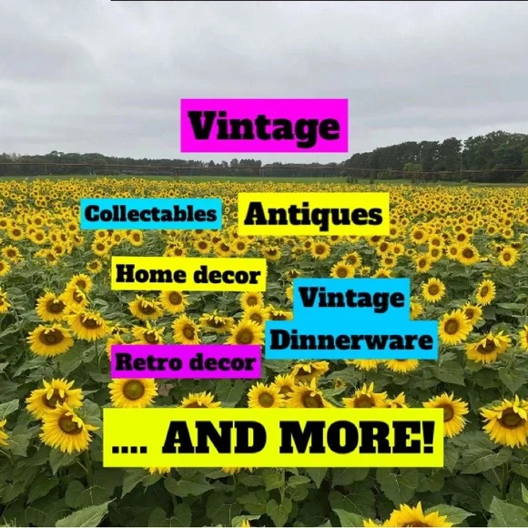 SUNSETTHRIFTER IS GOING LIVE! Love to shop? Me too ! 🤩☀️ - Picture 2 of 5